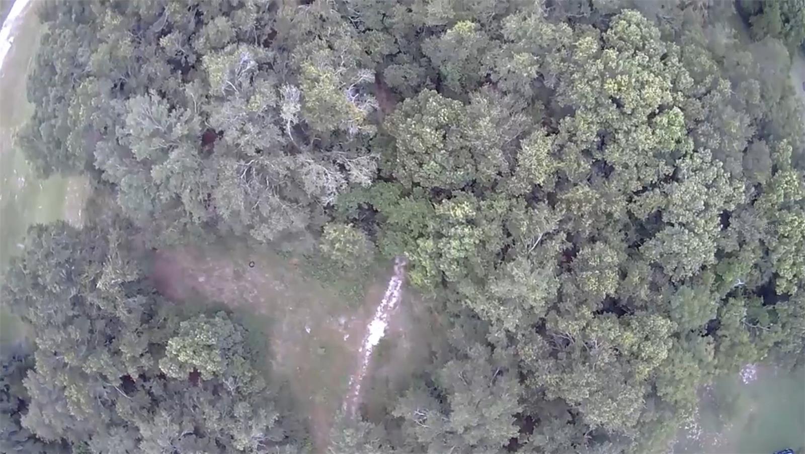 Image 7 of 14 For 4026 Orange Blossom Trail