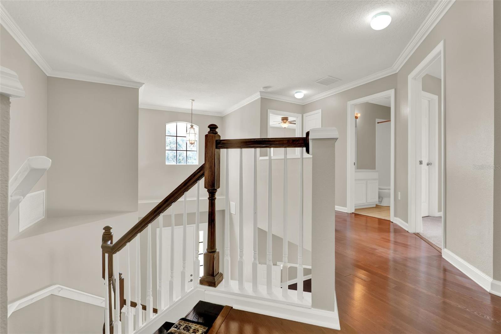 Image 16 of 38 For 1916 Mitchellbrook Ln