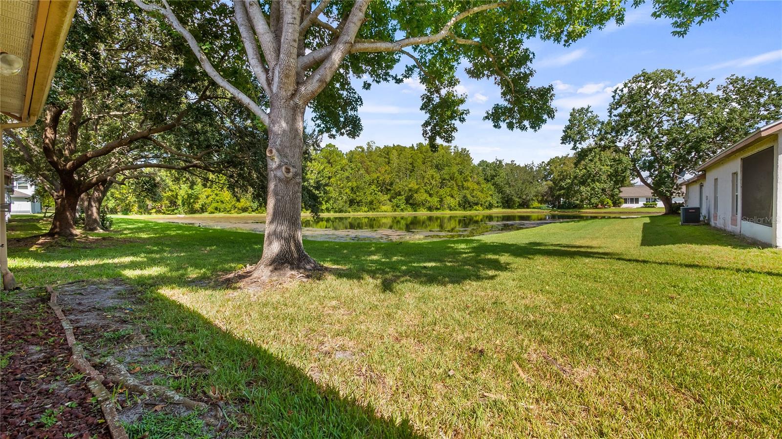 Image 34 of 49 For 11206 Papyrus Lane