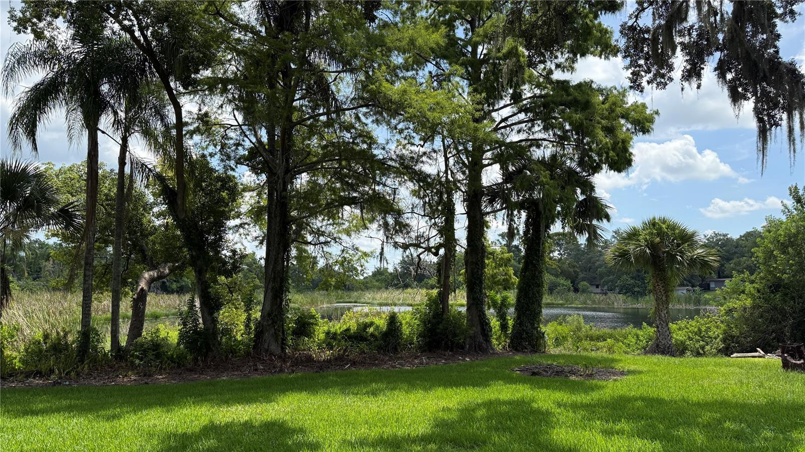 Image 12 of 12 For 1148 Lakeview Circle