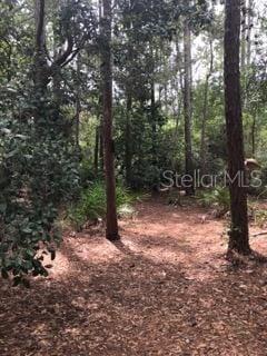 Image 20 of 20 For 2380 Shepherd Avenue