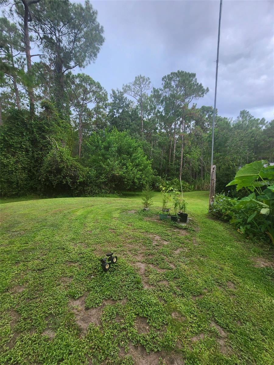 Image 6 of 20 For 2380 Shepherd Avenue