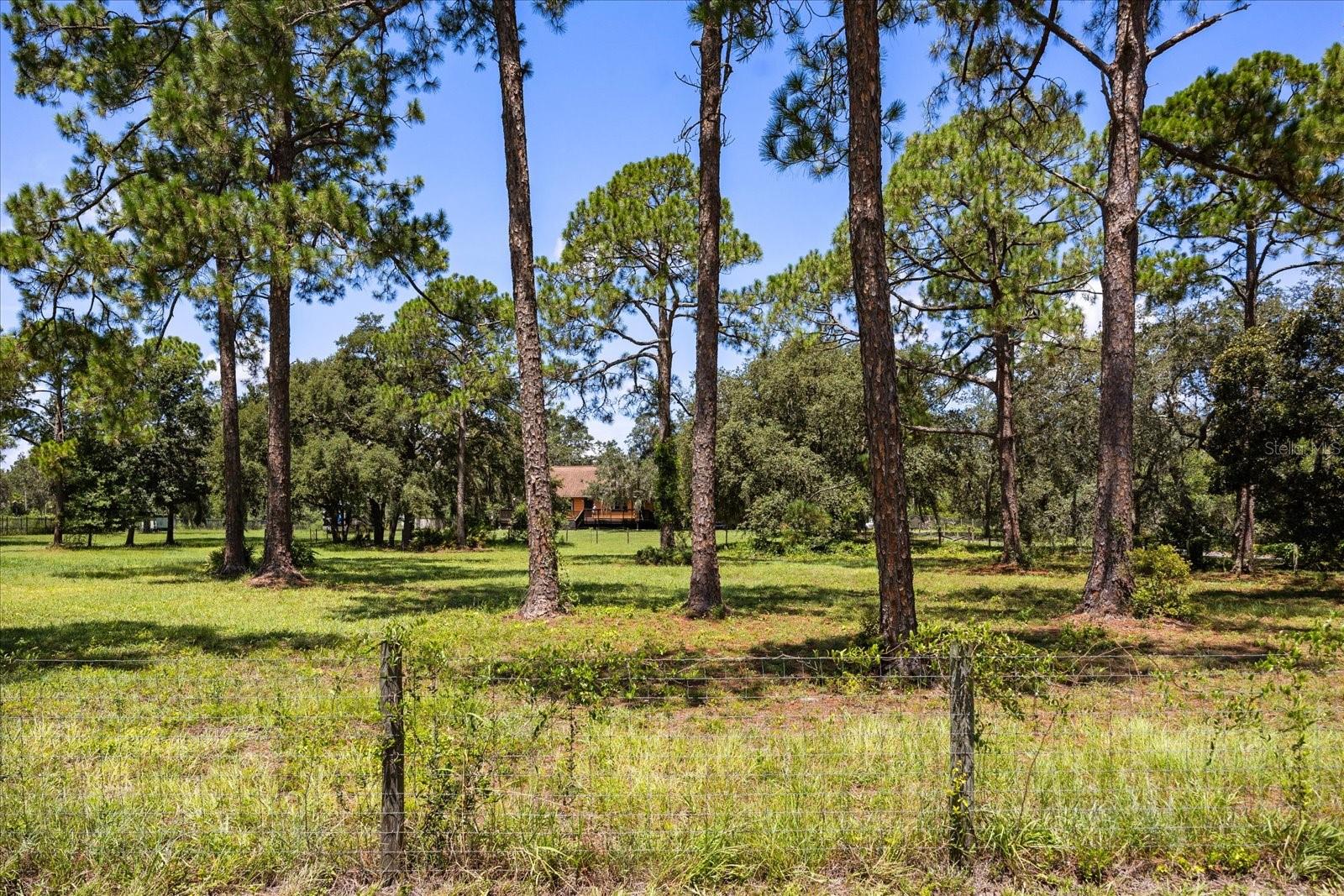 Image 41 of 50 For 22519 Robbins Road
