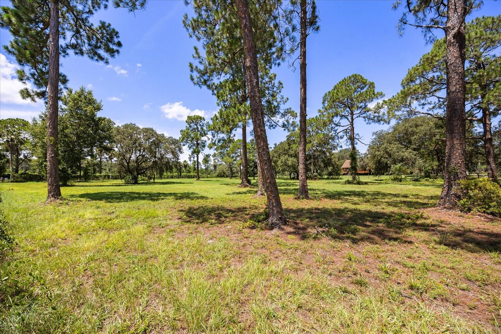 Image 43 of 50 For 22519 Robbins Road