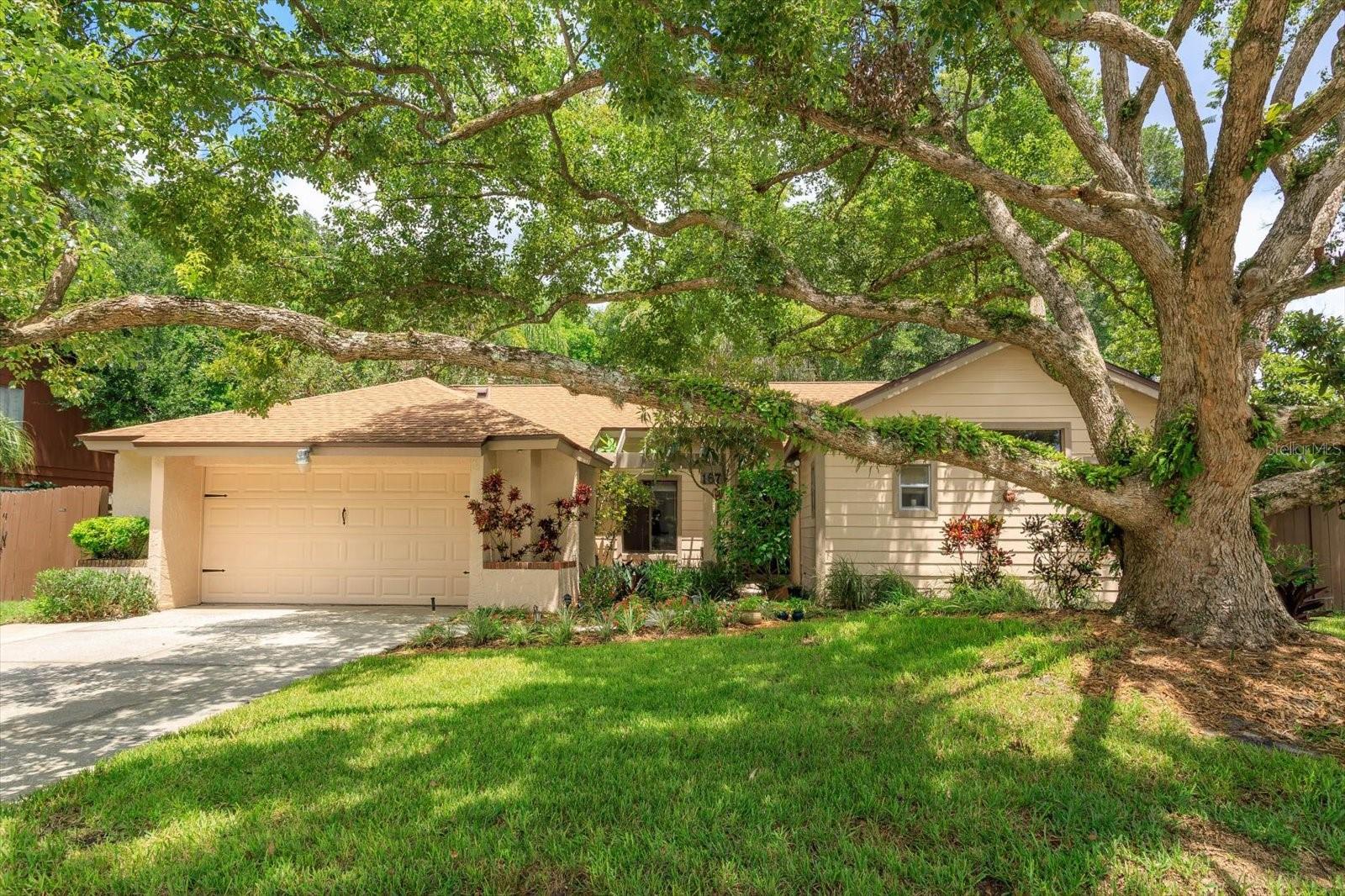Details for 1671 Avalon Boulevard, CASSELBERRY, FL 32707