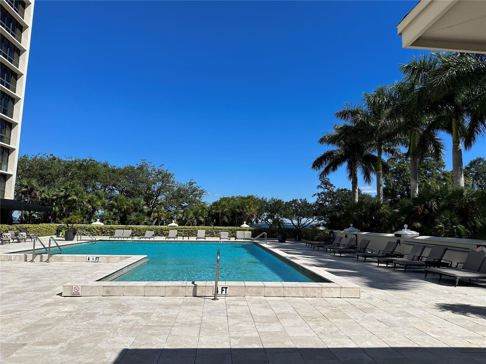 Image 38 of 45 For 3301 Bayshore Boulevard 503