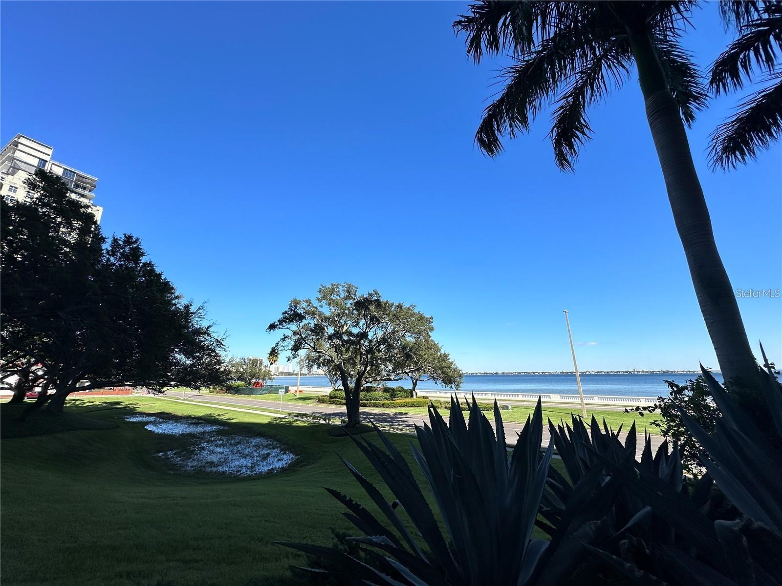 Image 45 of 45 For 3301 Bayshore Boulevard 503