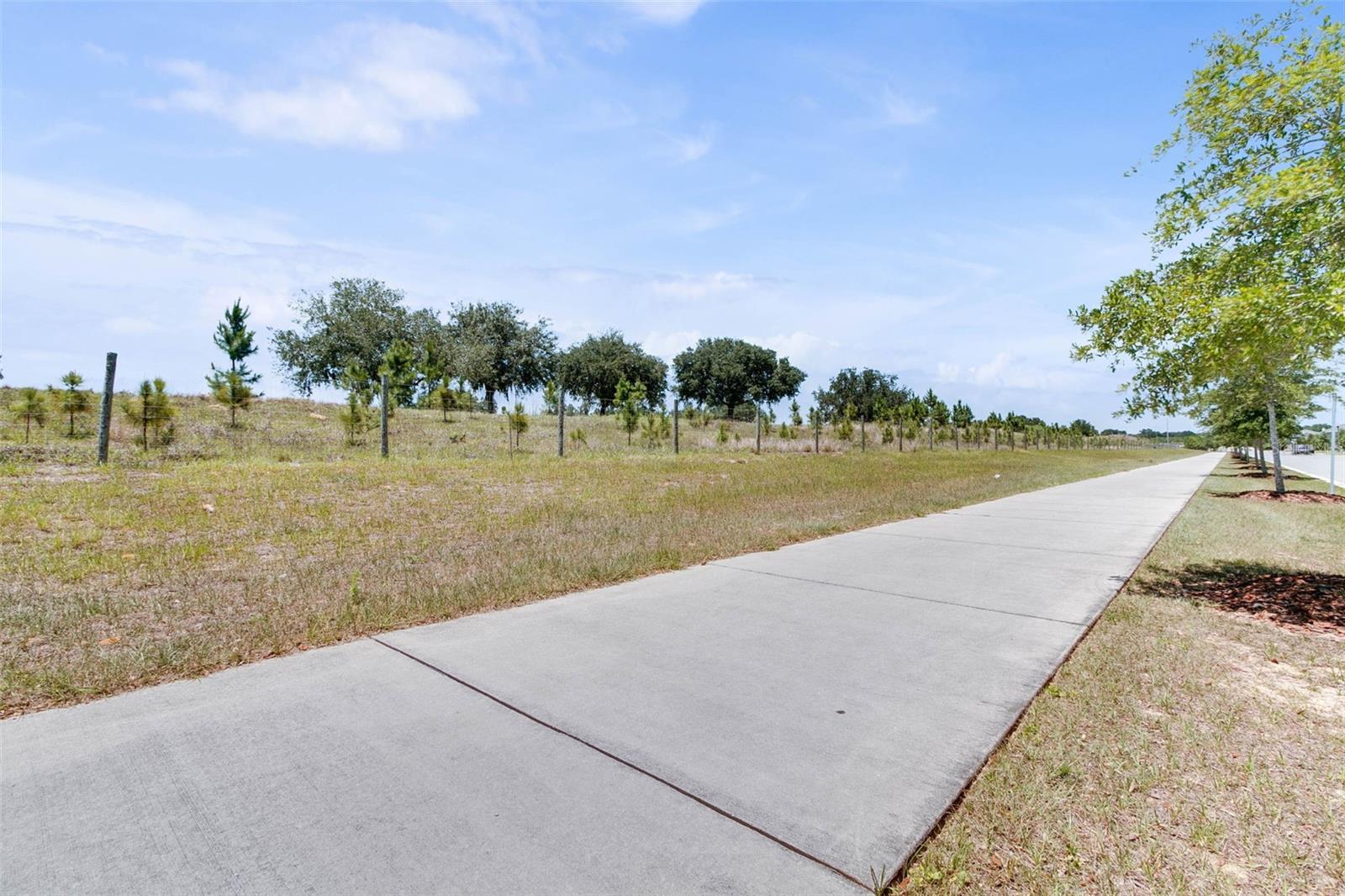 Image 43 of 43 For 15755 Sweet Limetta Drive
