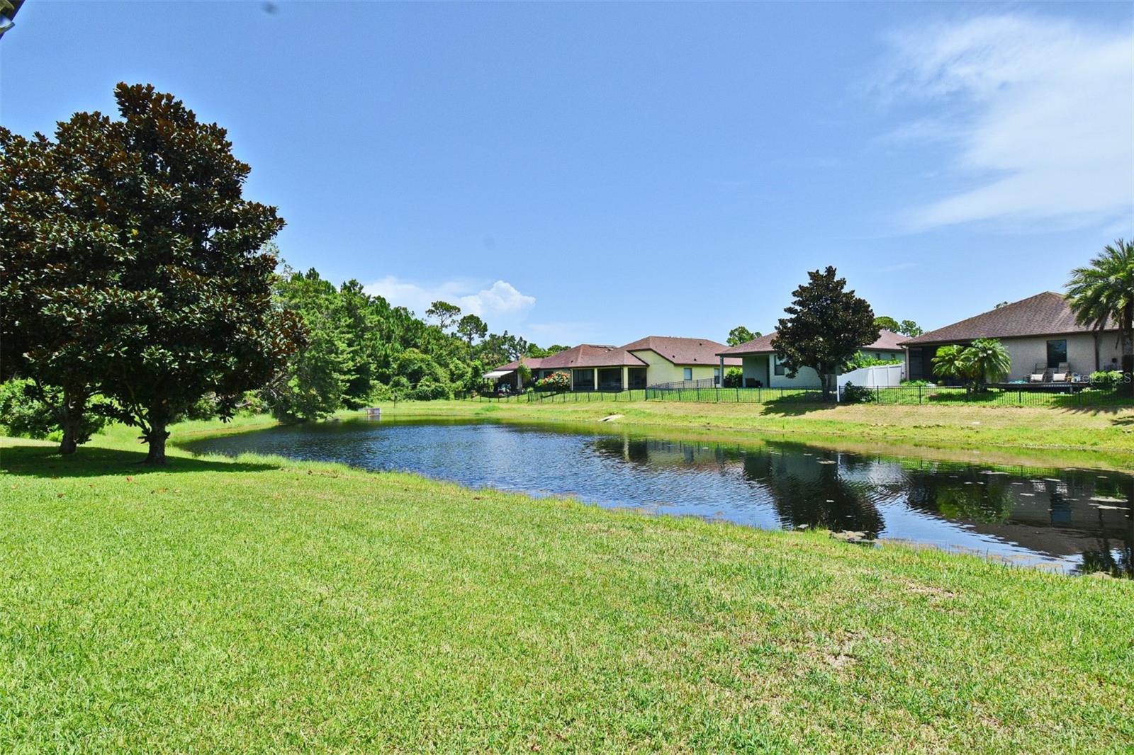 Image 4 of 52 For 217 Tuscany Chase Drive