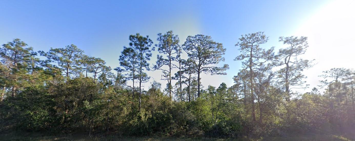 Details for 20106 Colonial Drive, CHRISTMAS, FL 32709
