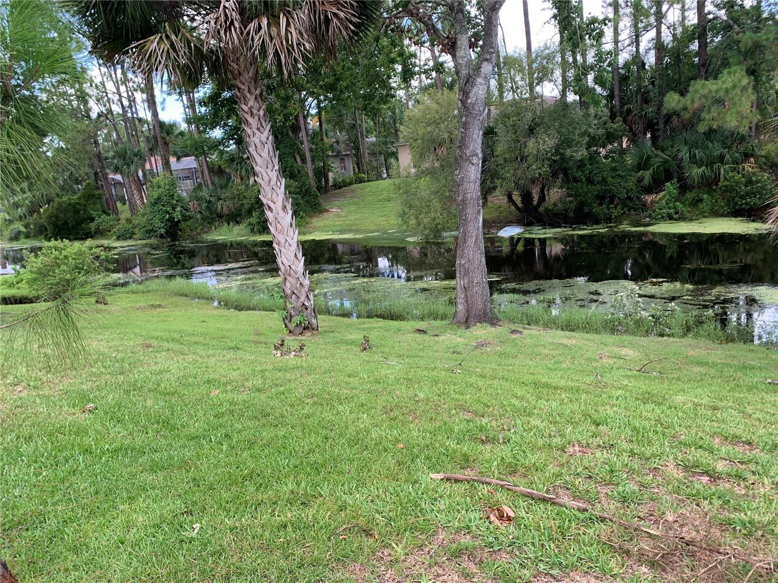 Image 2 of 22 For 51 Port Royal Drive