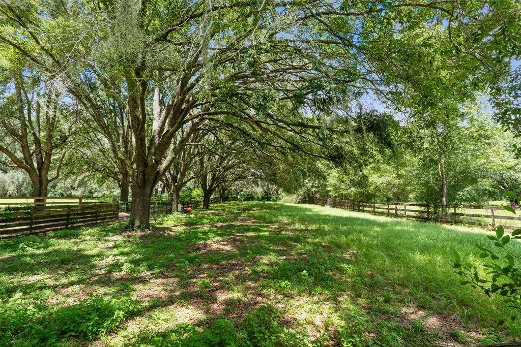 Image 9 of 30 For 24001 126th Lane
