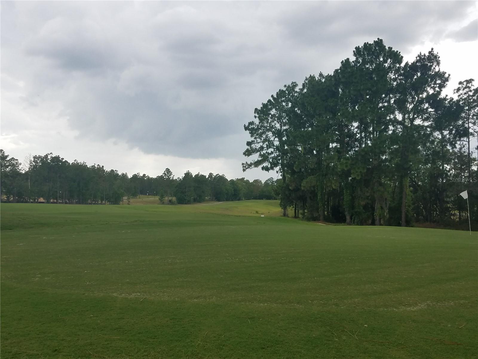 Image 22 of 22 For 636 Hickory Course Loop