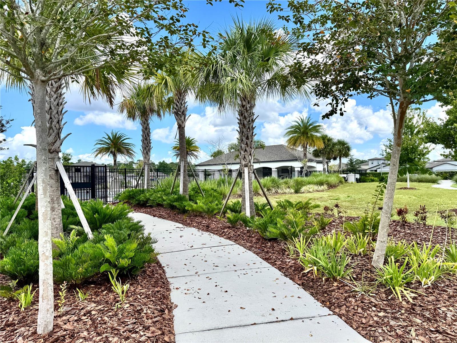 Image 28 of 28 For 416 Adalines Alley