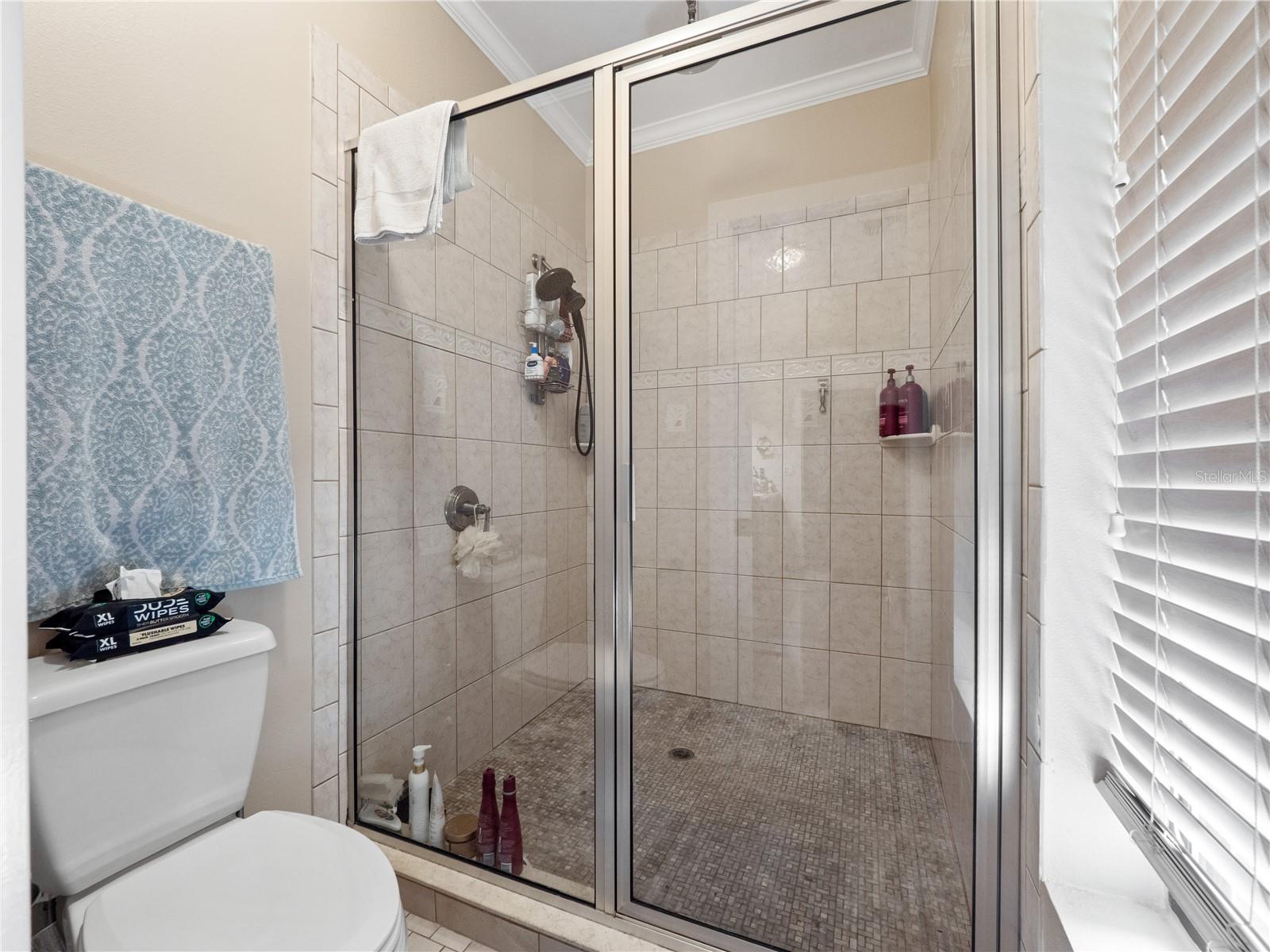 Image 22 of 47 For 2101 Silver Leaf Court
