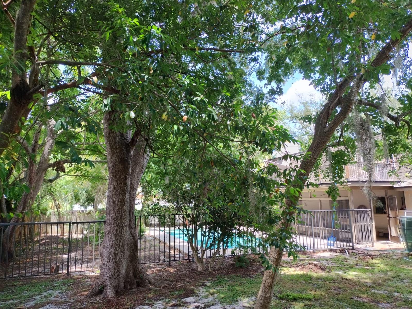 Image 9 of 17 For 9182 Bay Hill Boulevard