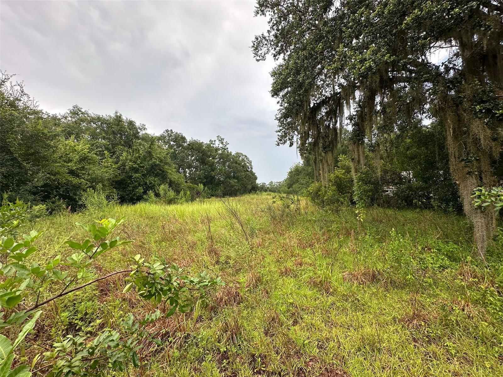 Image 8 of 10 For 21710 Colonial Drive