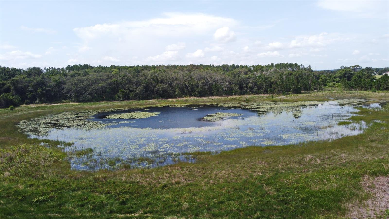 Image 10 of 67 For 23637 State Road 19