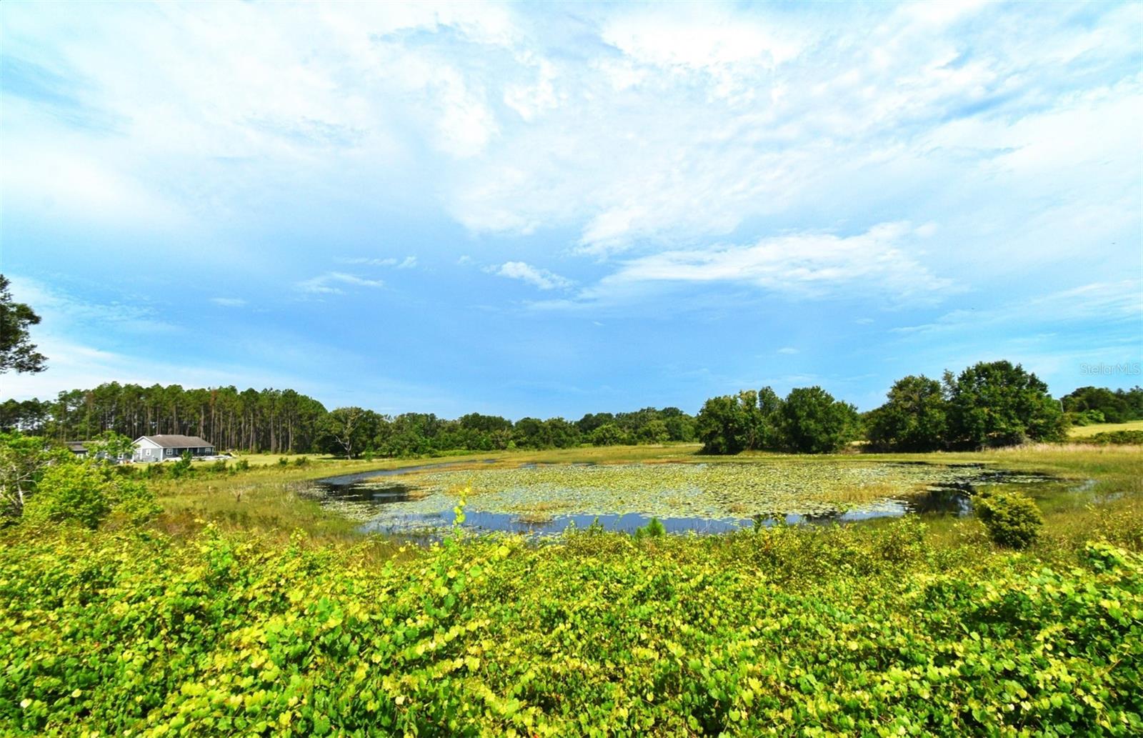 Image 61 of 67 For 23637 State Road 19