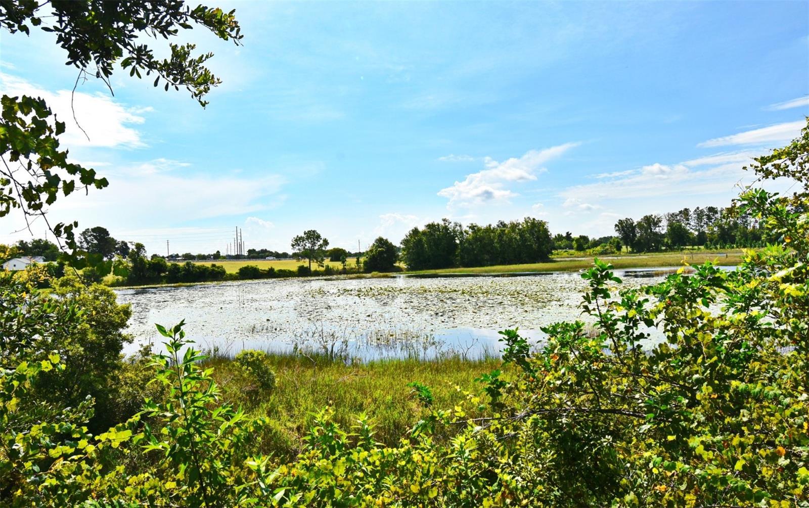 Image 65 of 67 For 23637 State Road 19
