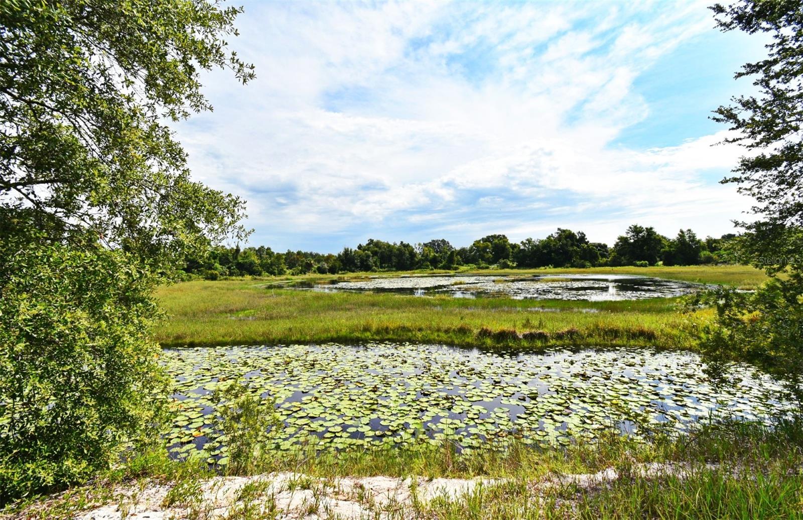 Image 67 of 67 For 23637 State Road 19