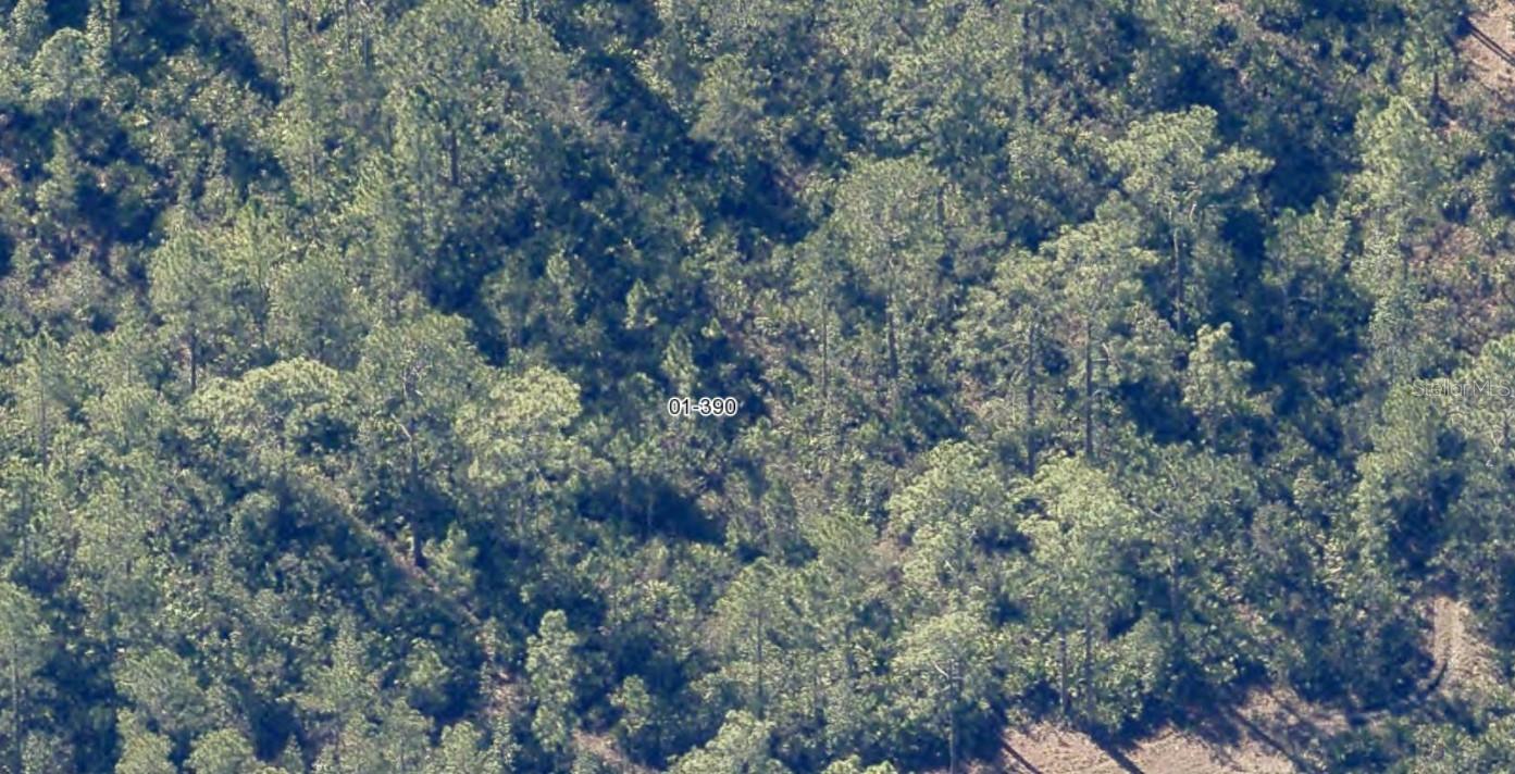 Image 5 of 9 For  Dill Road 