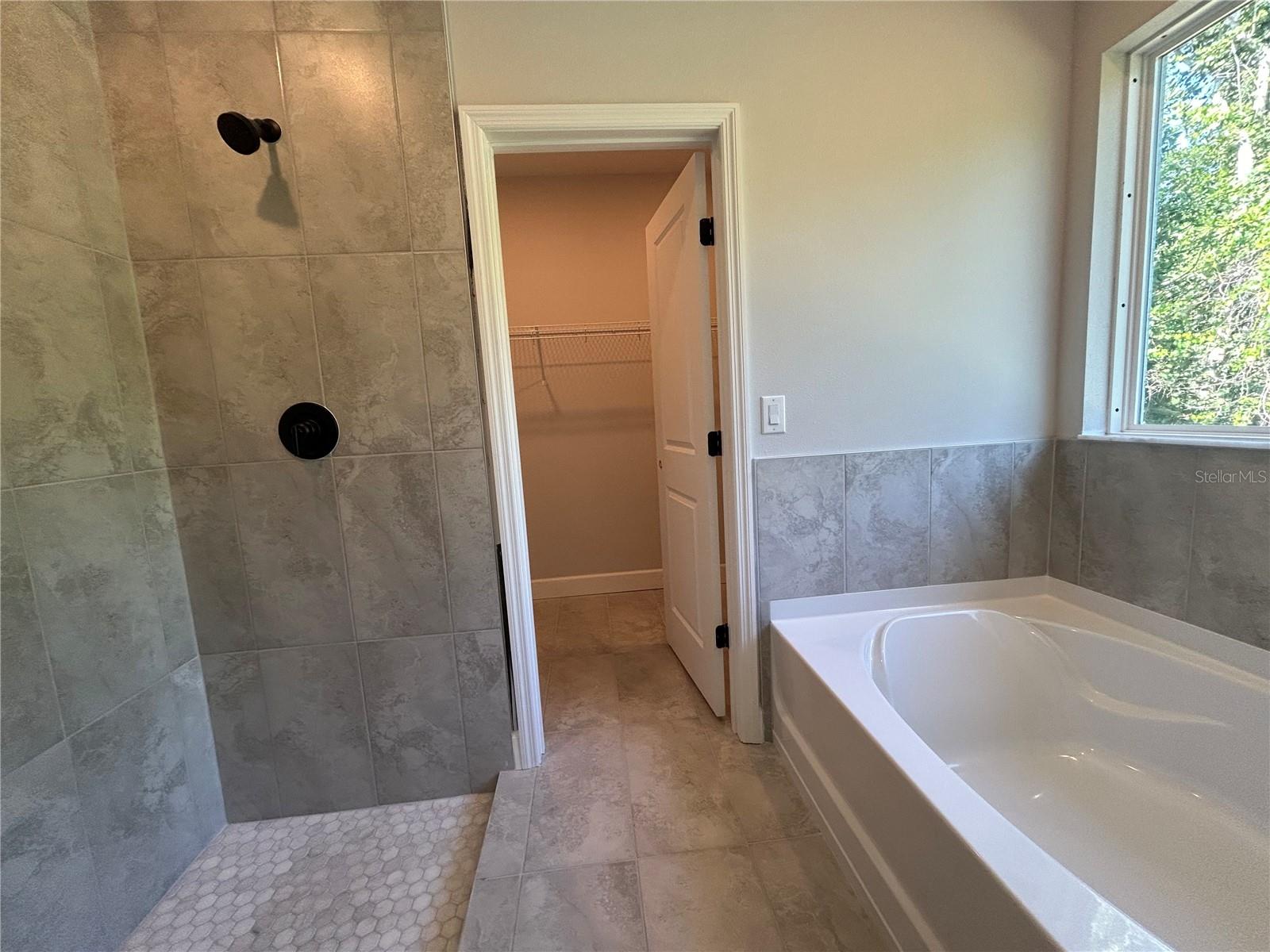 Image 12 of 15 For 8646 Capilla Street