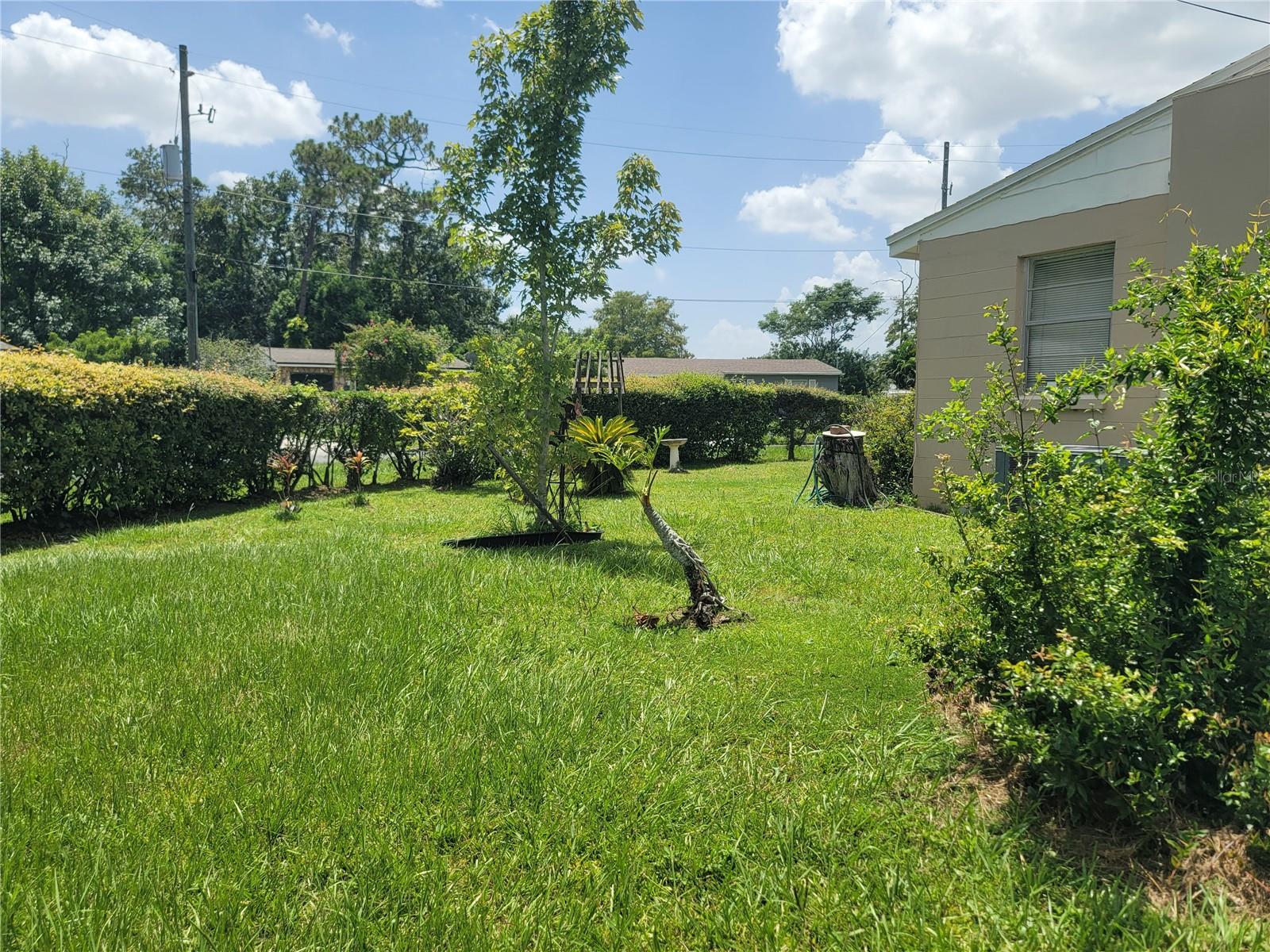 Image 13 of 13 For 3811 Guinyard Way