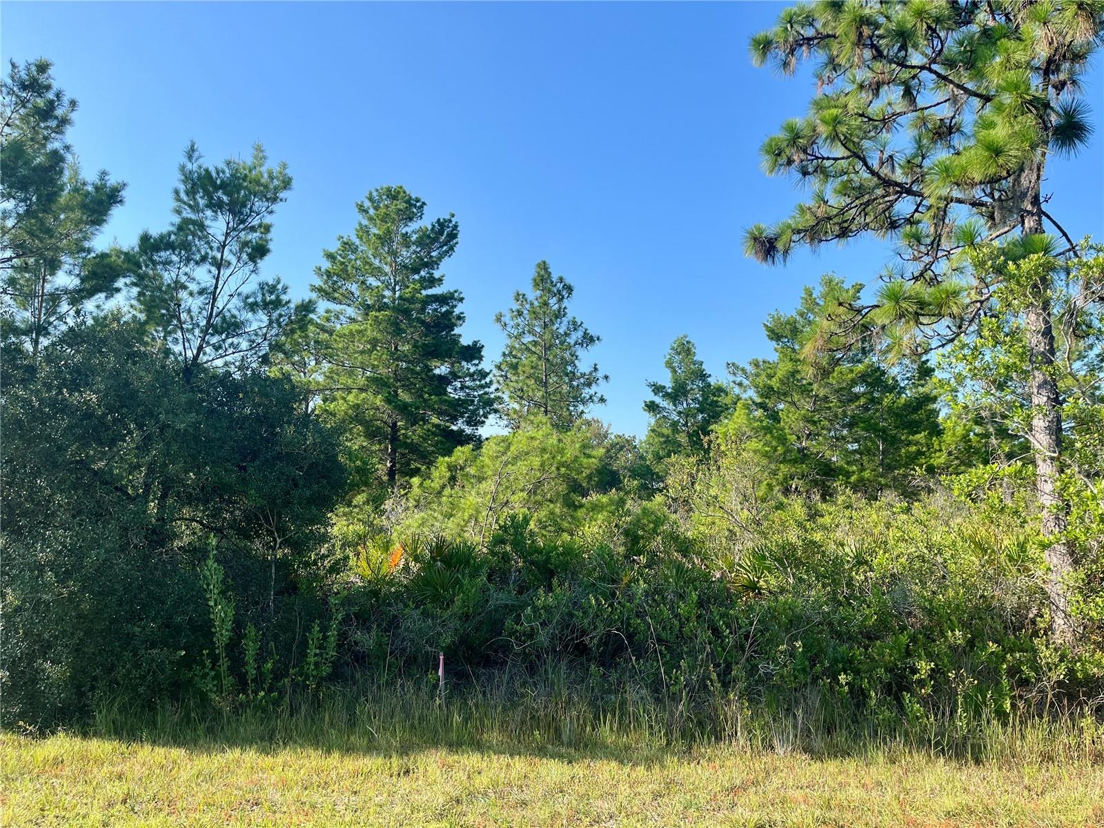 Details for 0000 Bougainville Drive, INDIAN LAKE ESTATES, FL 33855