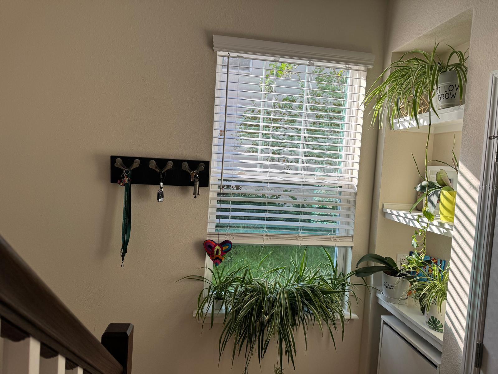 Image 15 of 21 For 13333 Gorgona Isle Drive