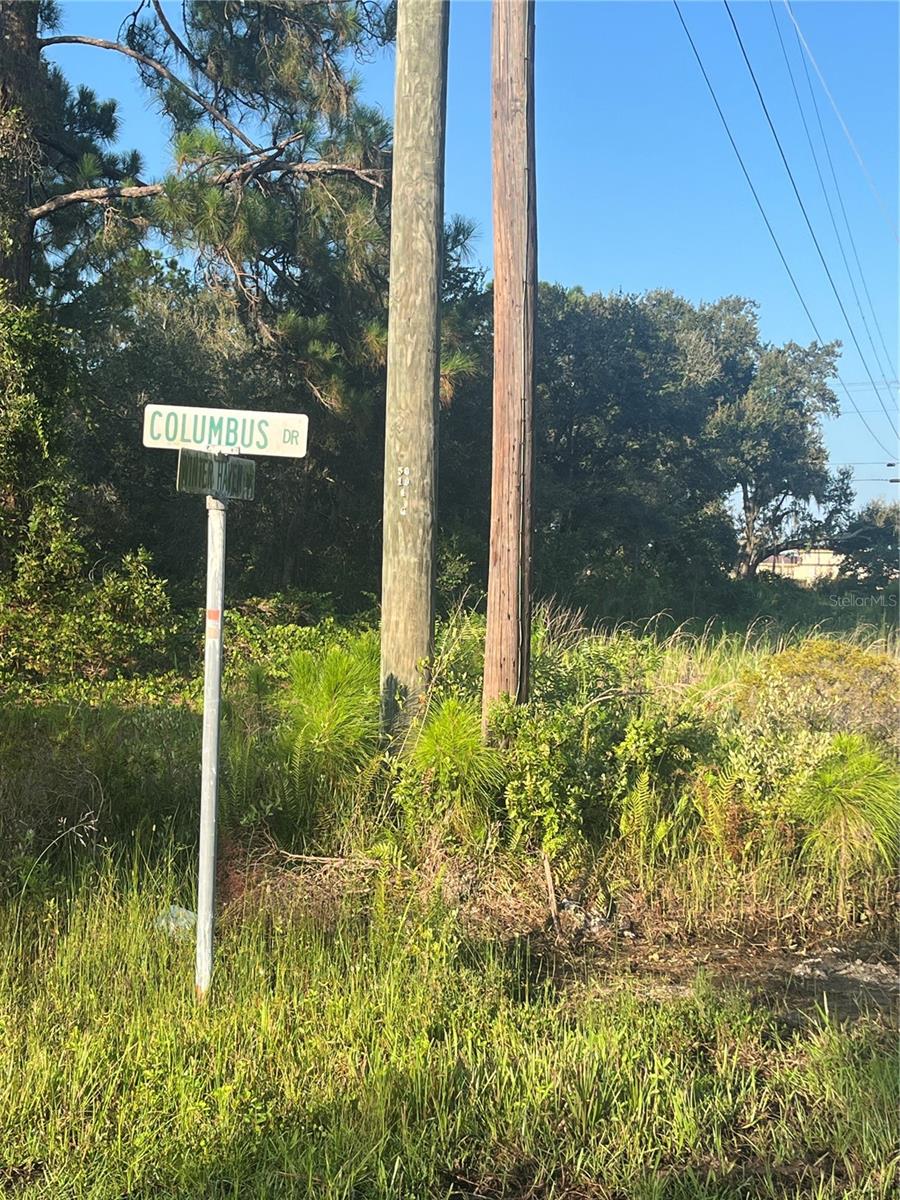 Image 3 of 21 For 0000 Columbus Drive