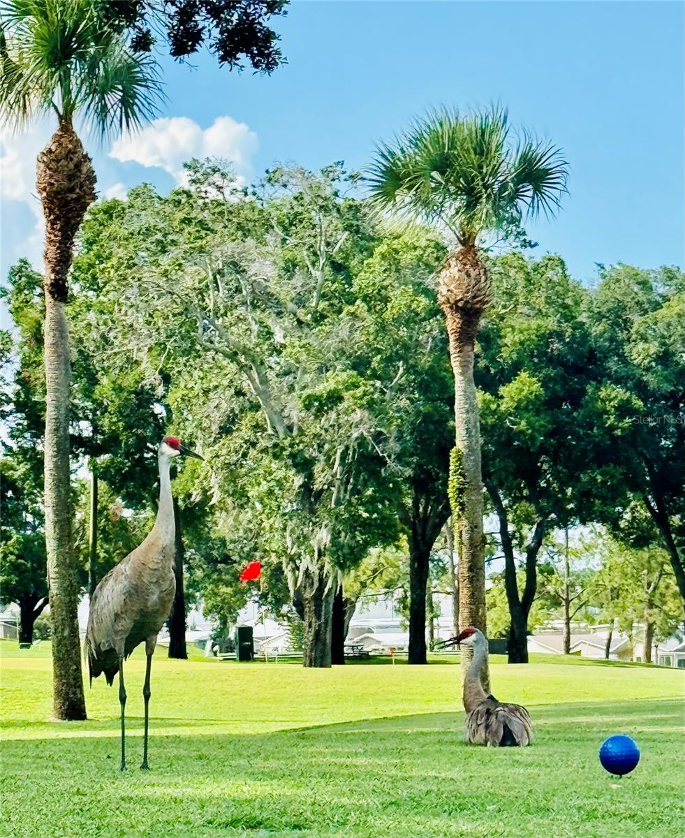 Image 21 of 35 For 370 Birdie Drive