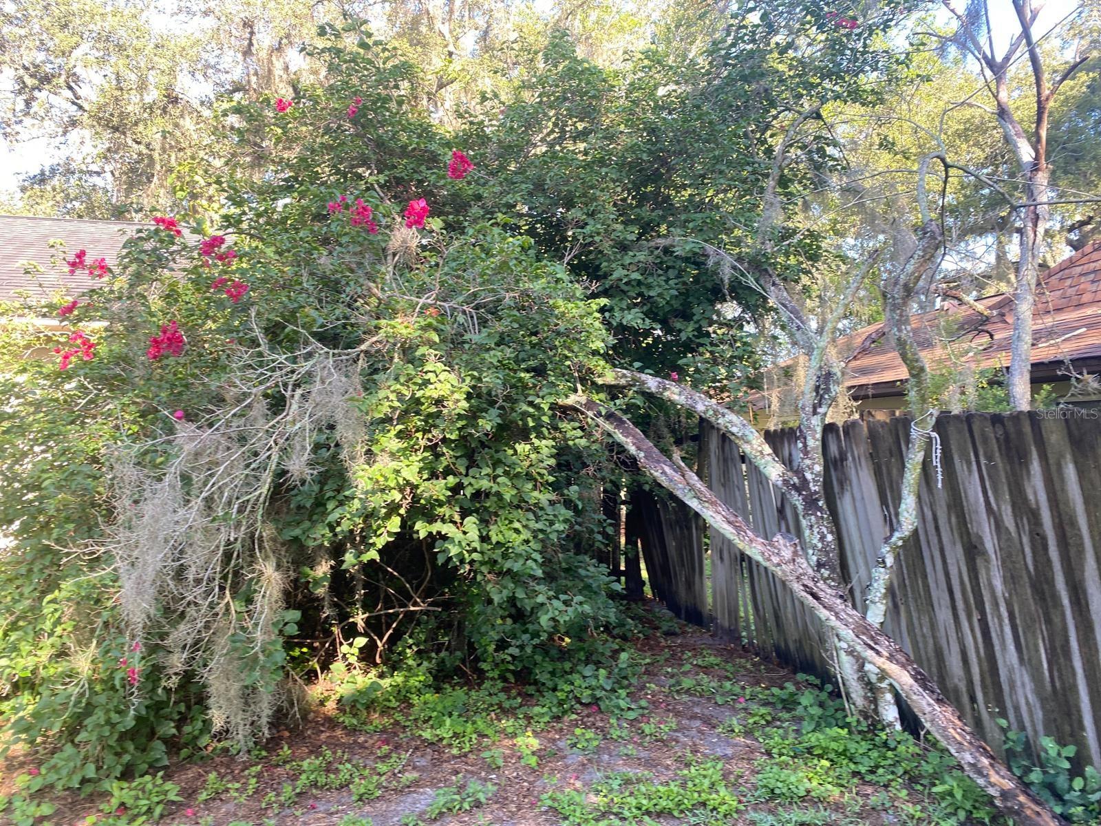 Image 56 of 59 For 1510 Pelican Street