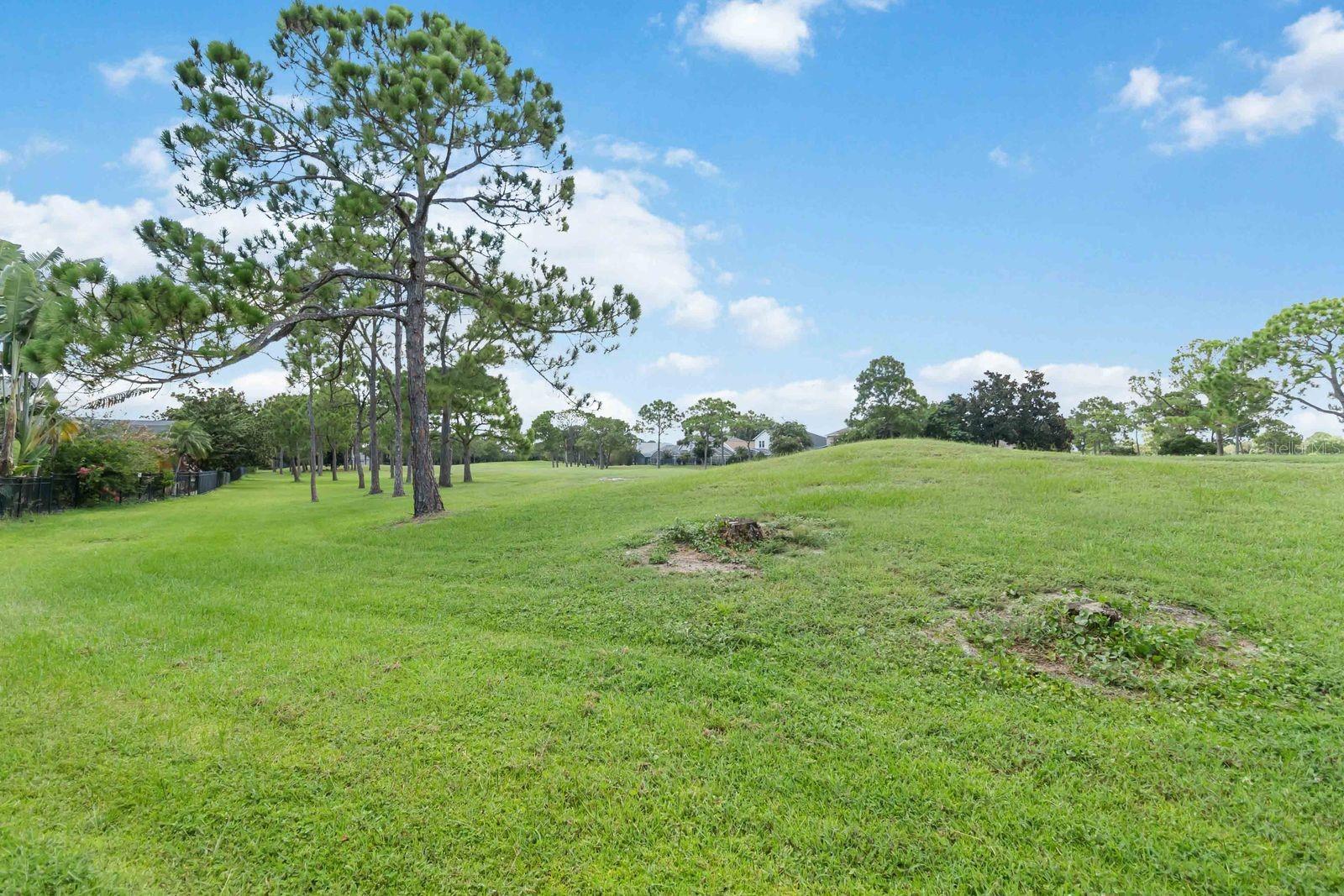 Listing photo id 34 for 14319 Tambourine Dr