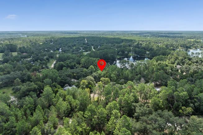 Image 3 of 6 For Pine Valley Drive