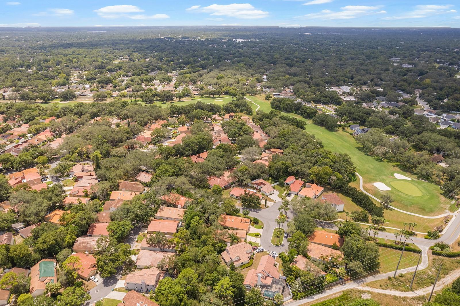 Image 31 of 40 For 1054 Pebble Beach Circle