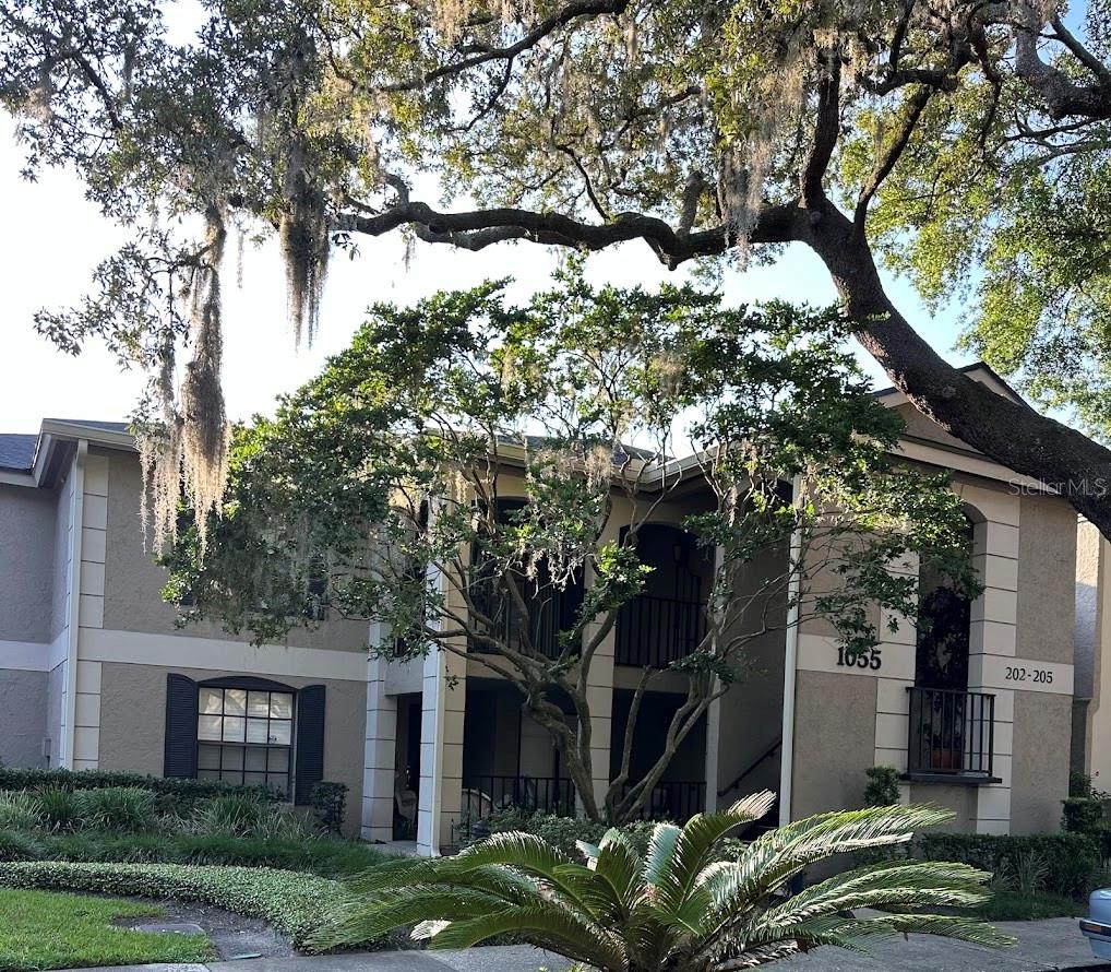 Image 2 of 23 For 1055 Kensington Park Drive 203