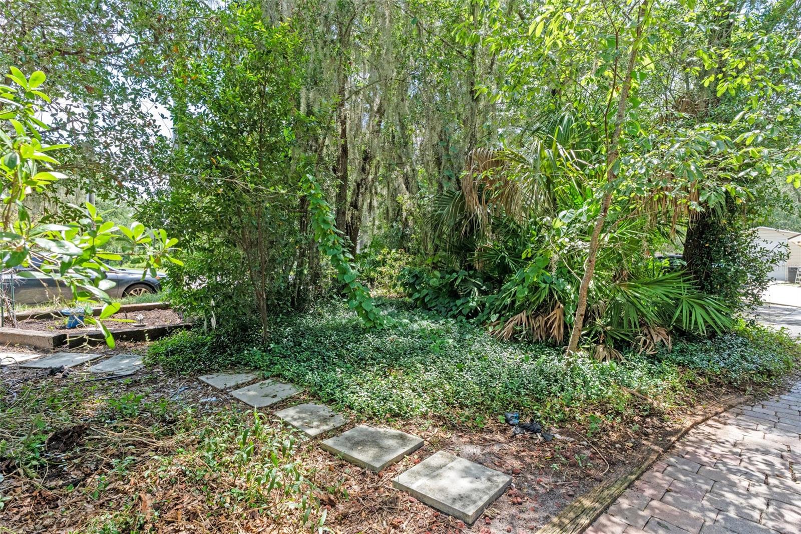 Image 12 of 97 For 560 Fern Street