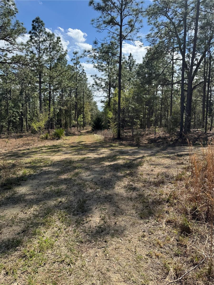 Details for Sw 156th Court, OCALA, FL 34481