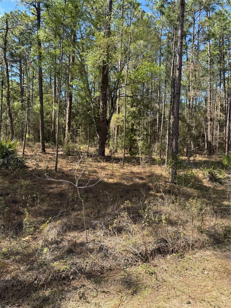 Image 5 of 8 For Sw 156th Court