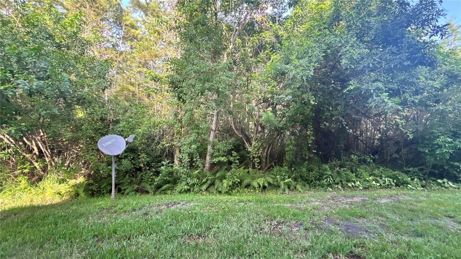Image 17 of 17 For 13903 Timberland Drive 101