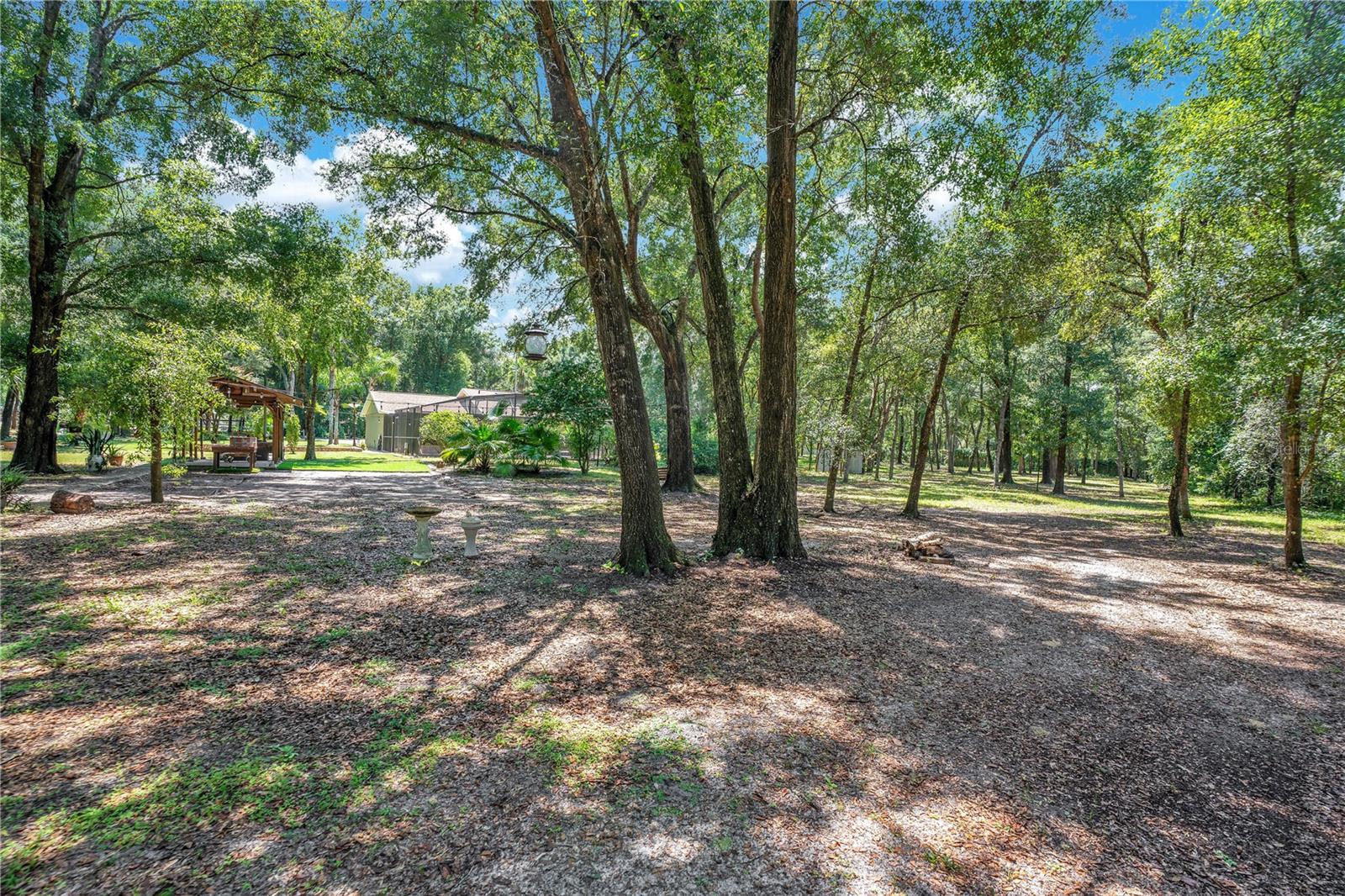 Image 62 of 70 For 2619 Ponkan Road