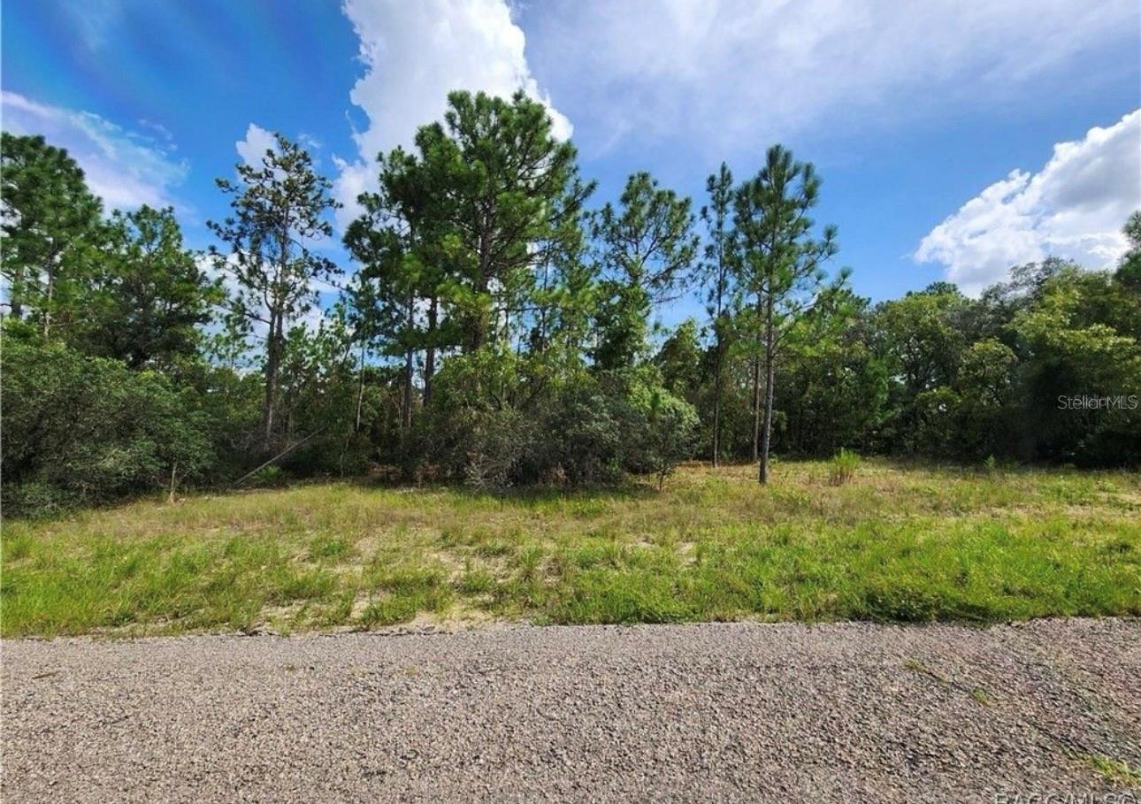 Details for 3504 Seahorse Lane, DUNNELLON, FL 34433