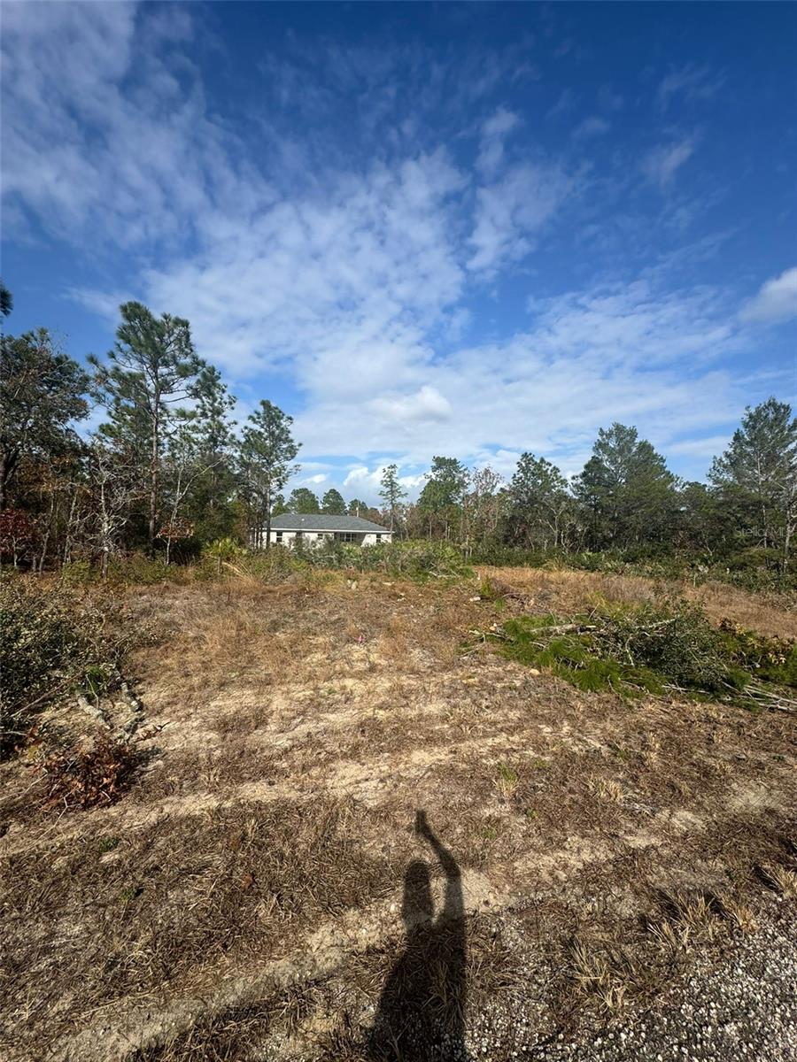 Image 2 of 8 For 3504 Seahorse Lane