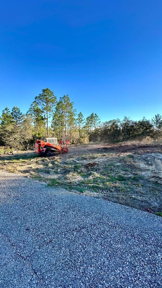 Image 4 of 8 For 3504 Seahorse Lane