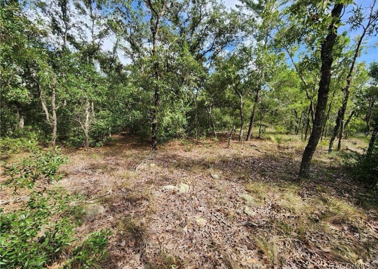 Image 7 of 8 For 3504 Seahorse Lane
