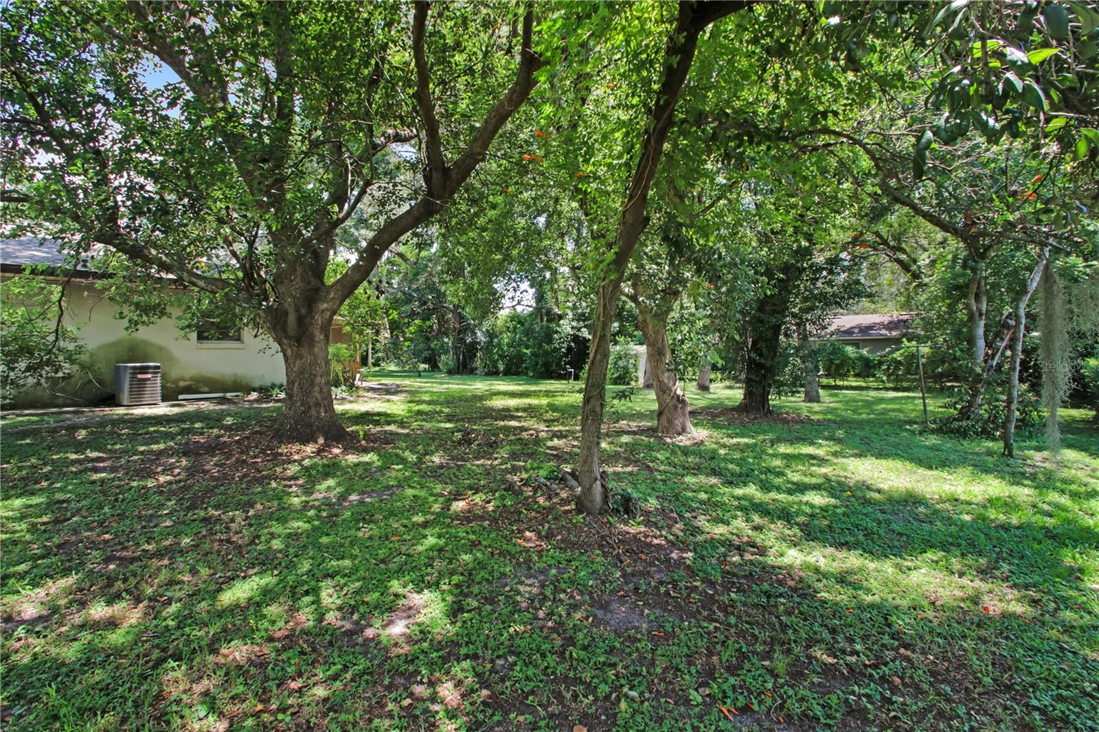 Image 23 of 31 For 339 Colomba Road