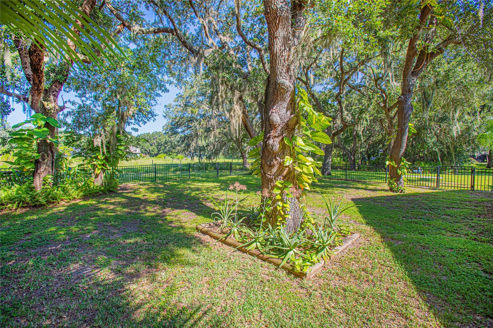 Image 31 of 54 For Address Not Provided