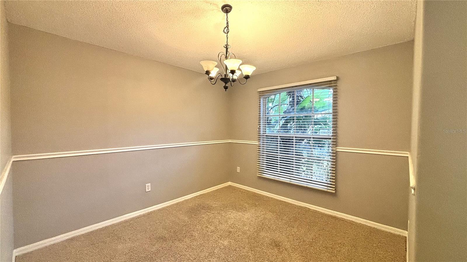 Image 10 of 17 For 2150 Tortoise Shell Drive