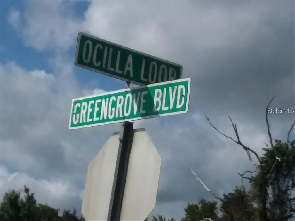 Listing Details for Greengrove Boulevard Lot26, CLERMONT, FL 34714